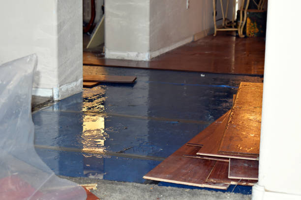 Professional Water Damage Restoration technician working in Dedham, MA
